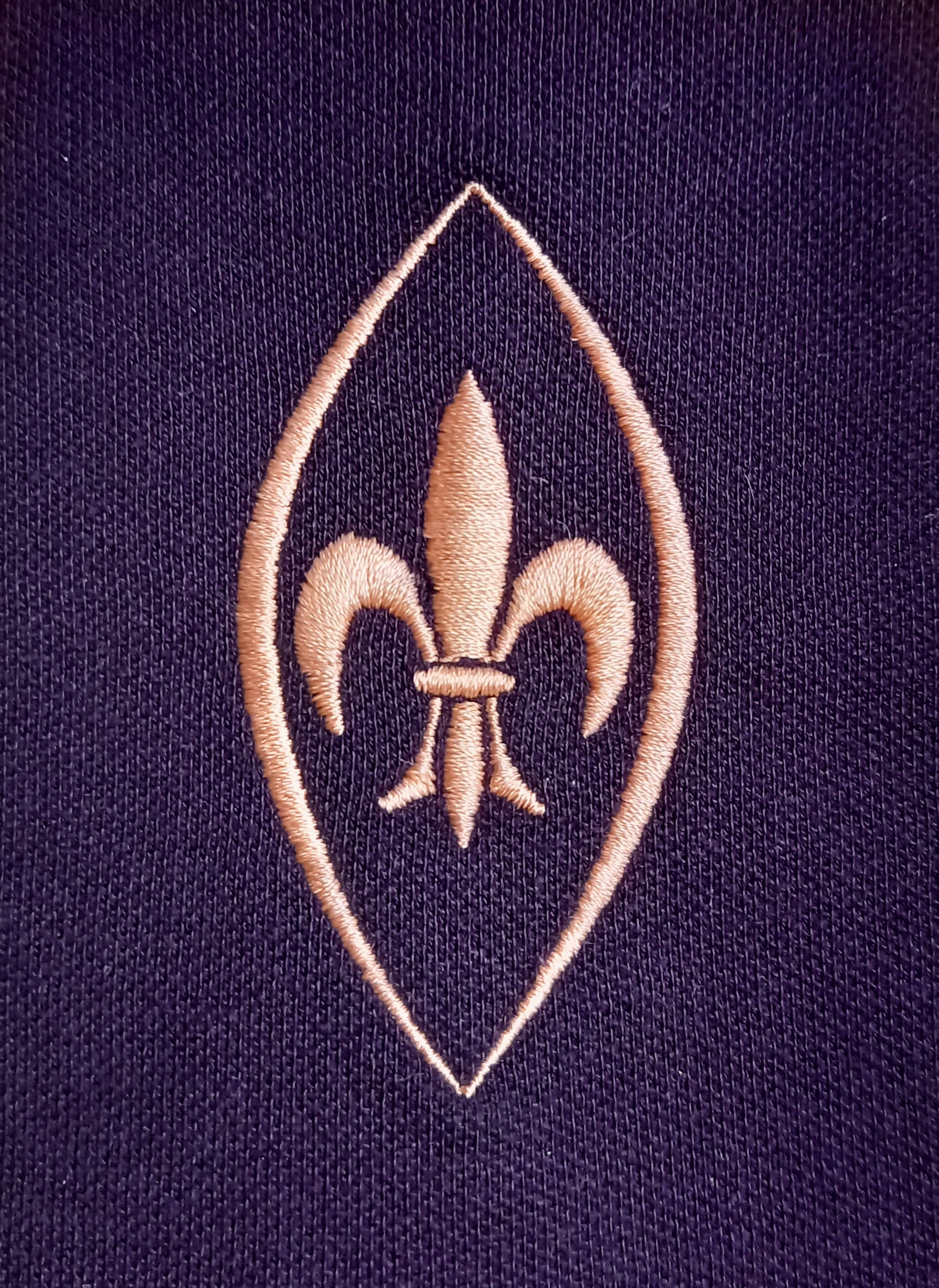Nr.3 Brustlogo Fleur de Lis in Mandorla