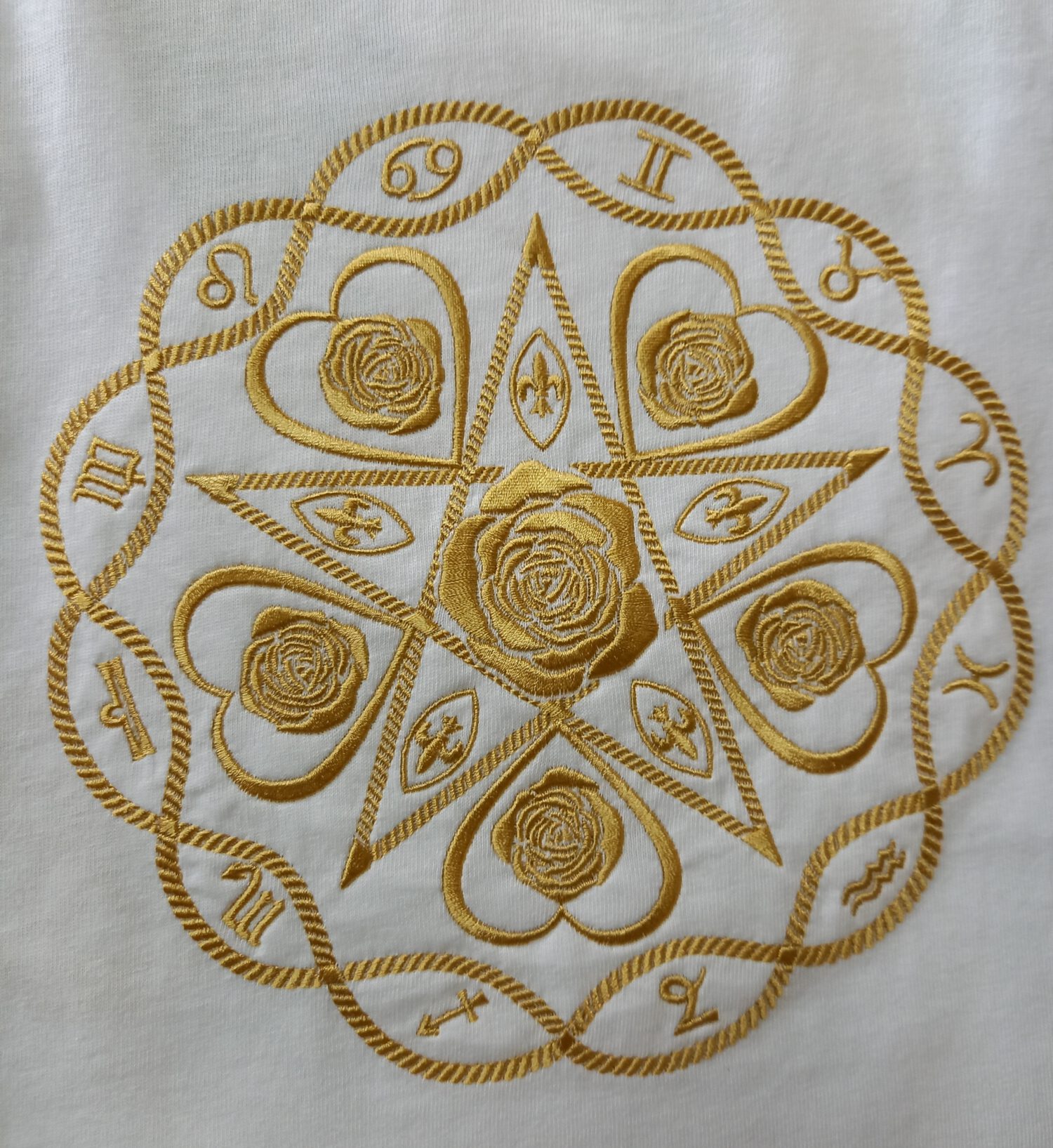 Logo Nr. 30 Rückenlogo Anthropos-Sophia groß – Bild 3