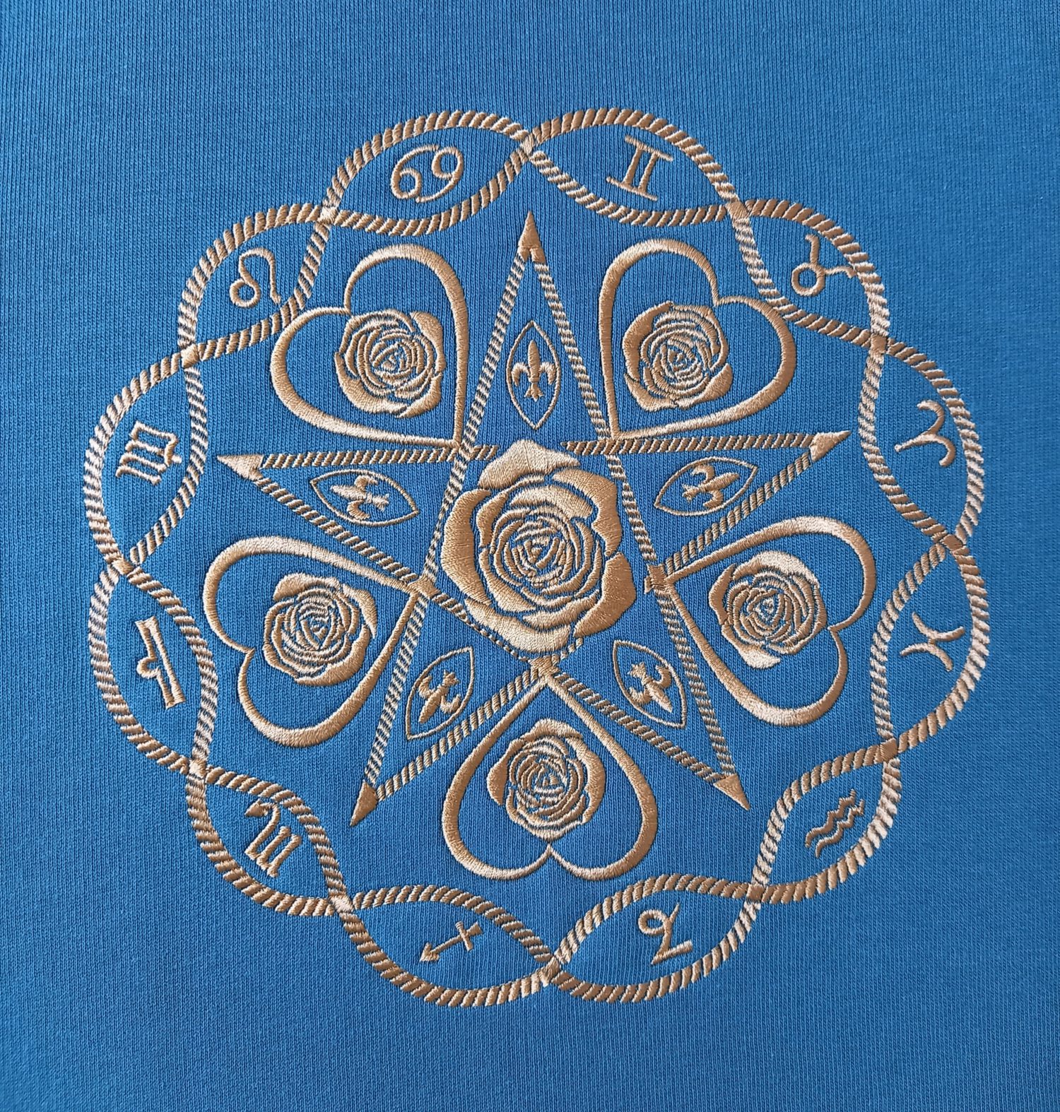 Logo Nr. 30 Rückenlogo Anthropos-Sophia groß – Bild 4